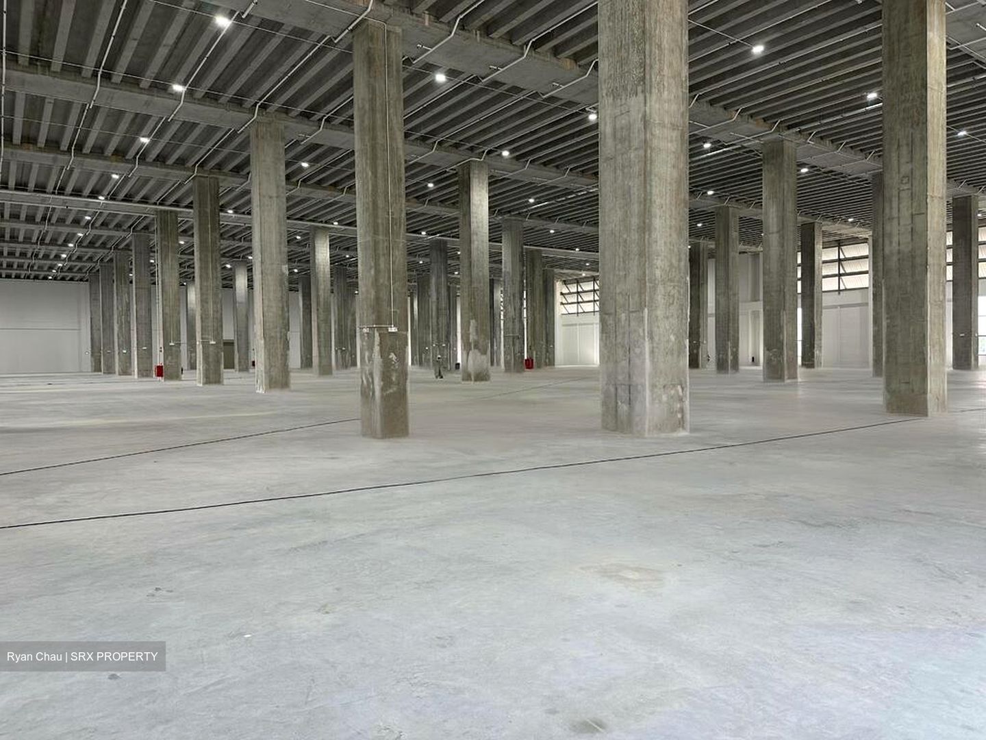 Pantech Business Hub (D5), Warehouse #461293871